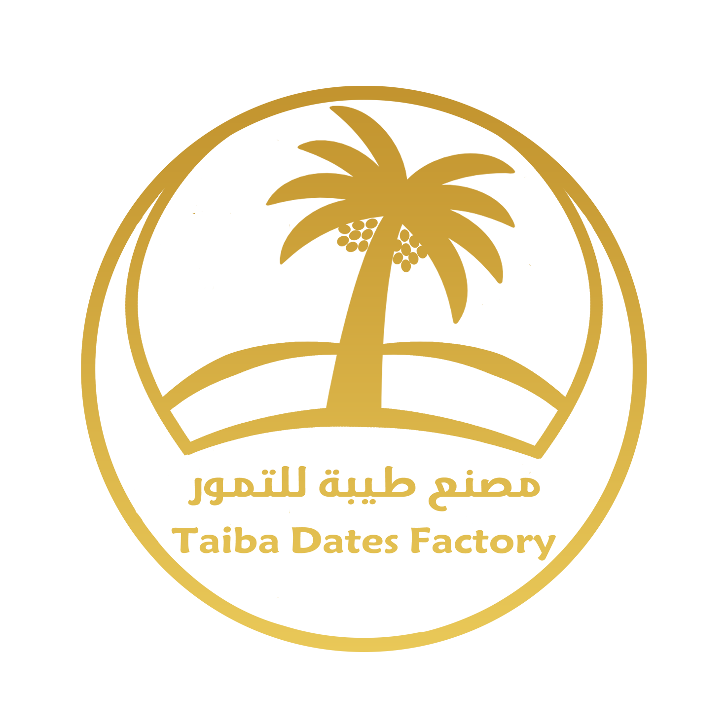 Taiba Dates Factory 