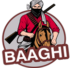 Baaghi Food Industries