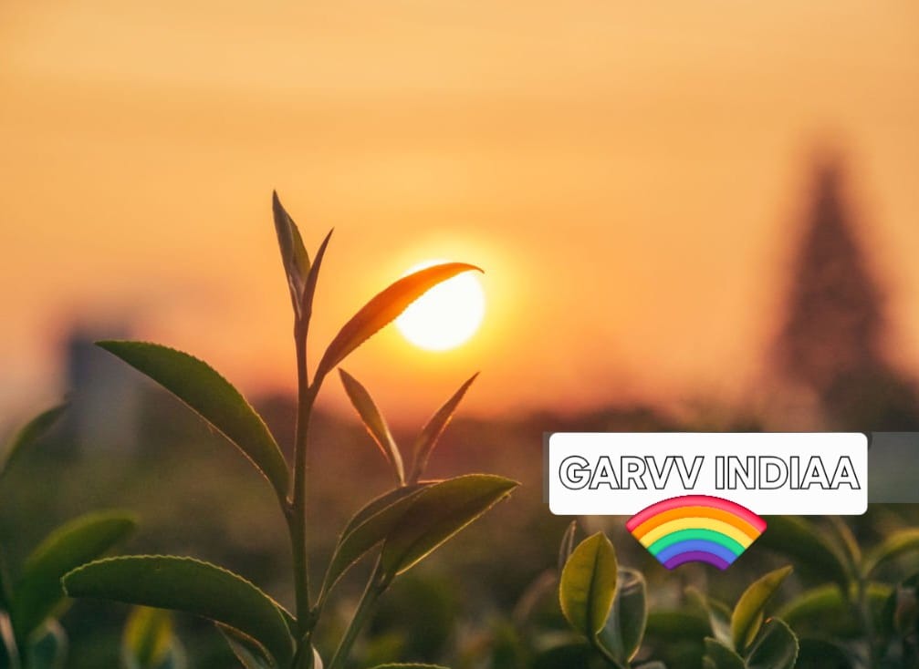 GARVV INDIAA (OPC) PRIVATE LIMITED