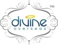 Divine Overseas