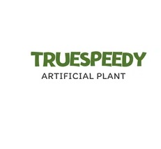 Truespeedy