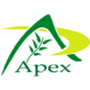 Apex International