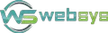 Websys Infotech