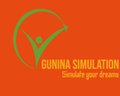 Gunina Simulation
