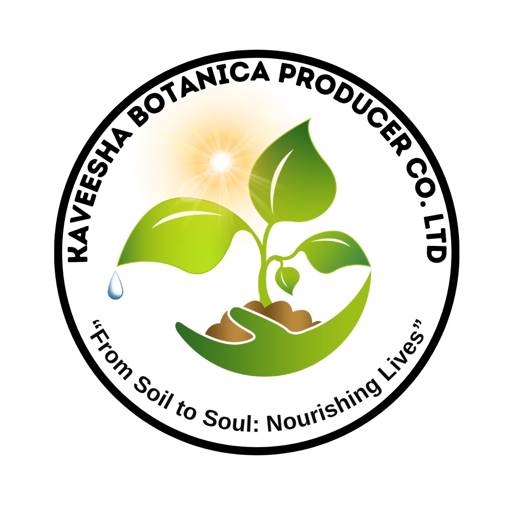 Vendor Logo