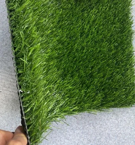 Green Lawn Grass