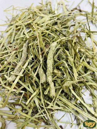 Rabbit Feed