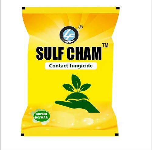 Sulfchamp