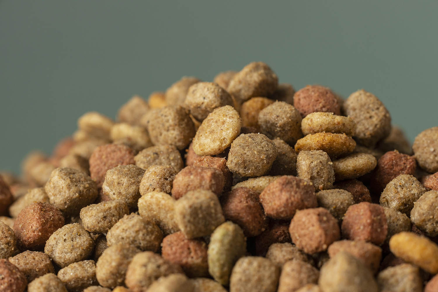 Dog Feed